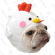 Stock Show Pet Costume | $13 | Amazon
